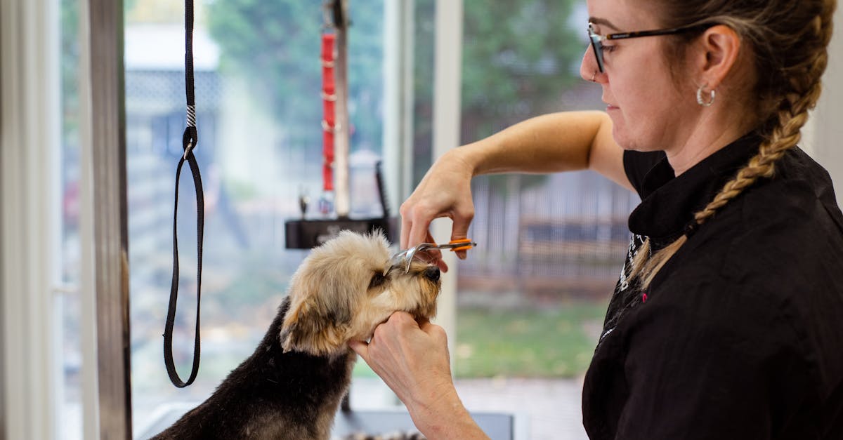 découvrez comment faire des choix de carrière éclairés grâce à nos conseils pratiques et à nos ressources. explorez différentes options professionnelles et trouvez la voie qui vous correspond le mieux.