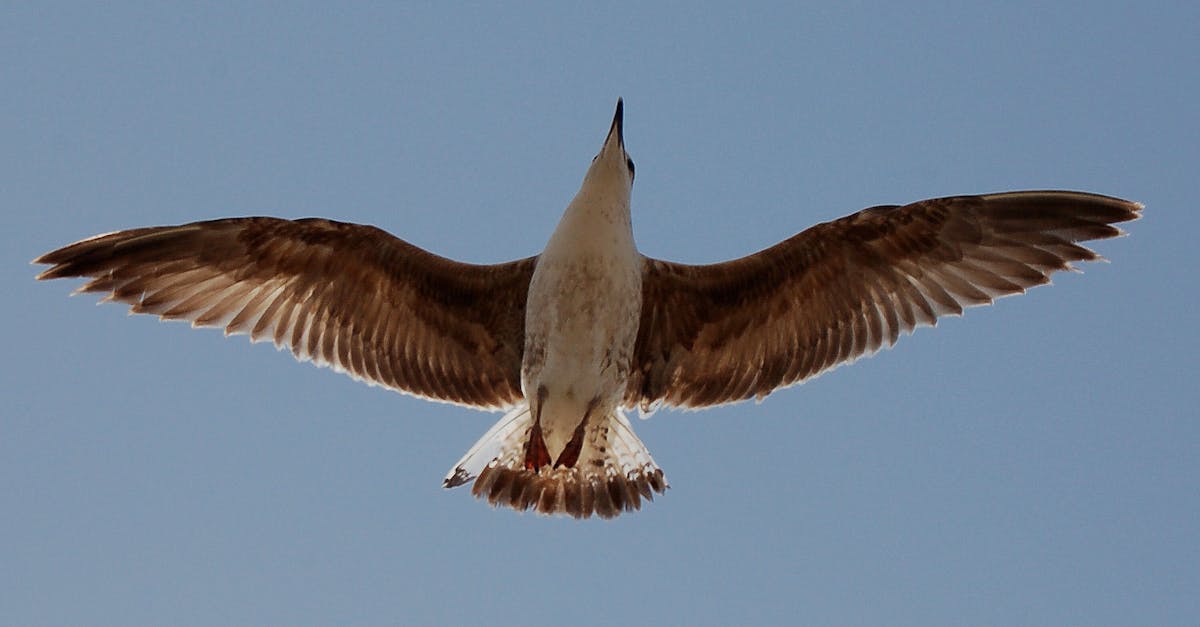 découvrez les derniers articles et analyses de libération, le journal engagé qui couvre l'actualité nationale et internationale avec un regard critique et indépendant.