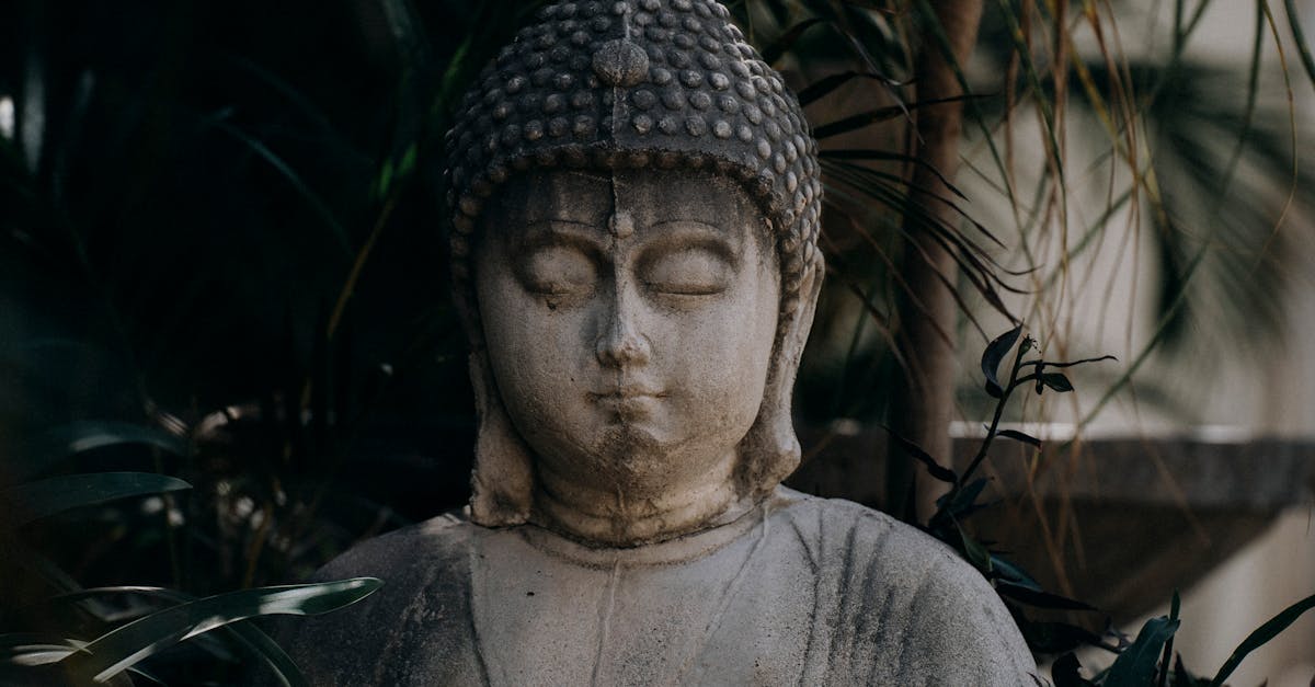 découvrez la sexualité sacrée, une approche spirituelle et holistique de l'intimité, qui célèbre la connexion profonde entre le corps et l'esprit. explorez des pratiques anciennes et modernes pour harmoniser votre énergie sexuelle et nourrir des relations épanouissantes.